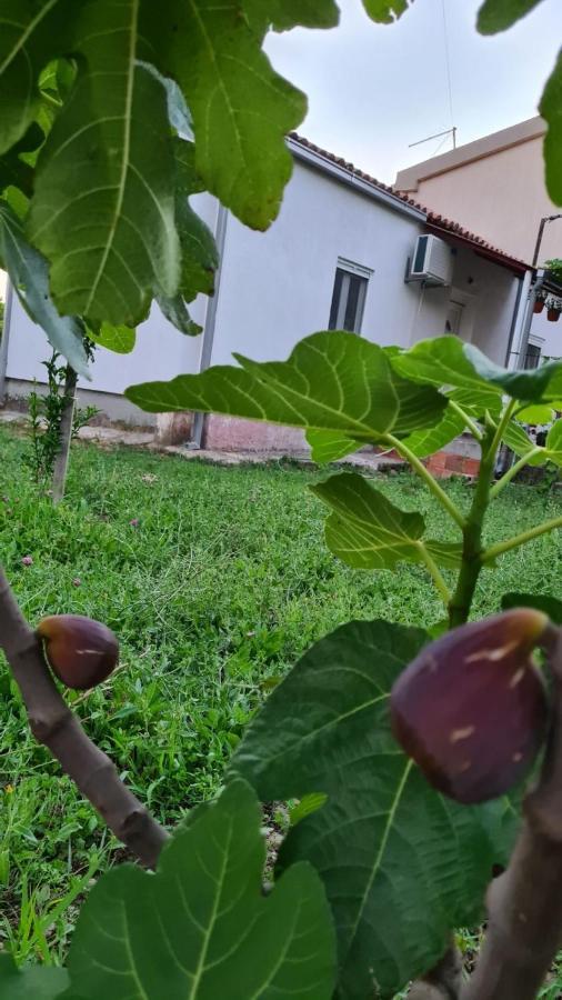 Apardibra Apartman Bar Kültér fotó